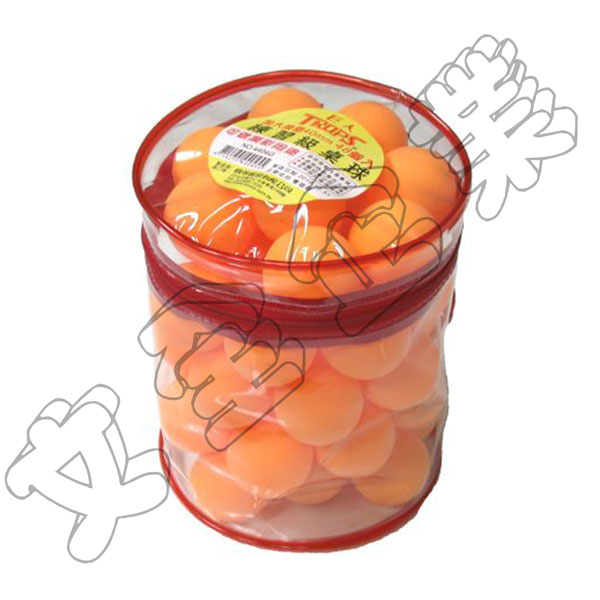 【預】SUCCESS成功 摸彩用桌球