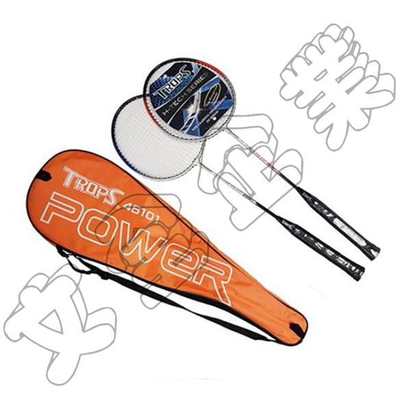 【預】SUCCESS成功 練習級雙人羽拍