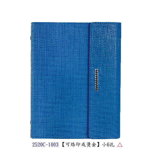 GT 25K活頁-高級進口變色仿真皮