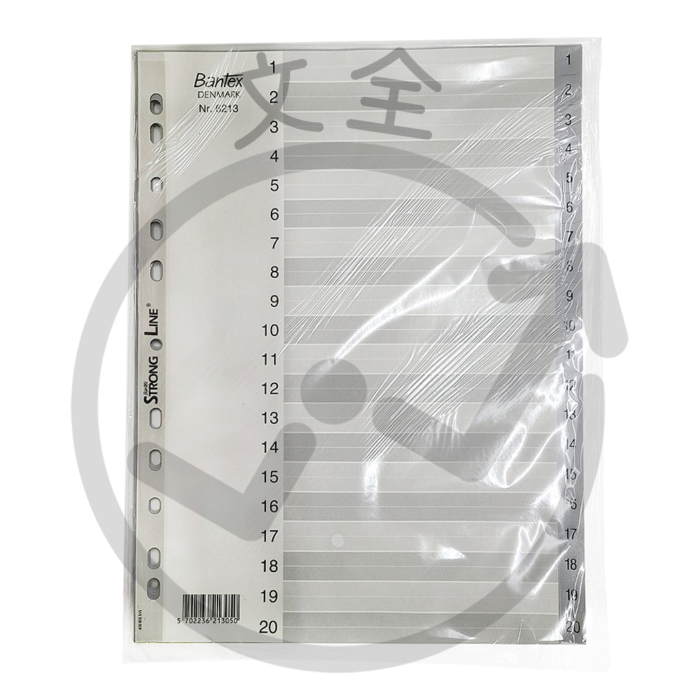 Bantex A4 PVC 20段隔頁紙/分段紙 (20張入/包)